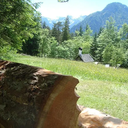 Waldbankerl Ferienhaus *