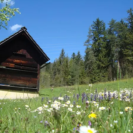 Waldbankerl Ferienhaus Bad Goisern am Hallstättersee