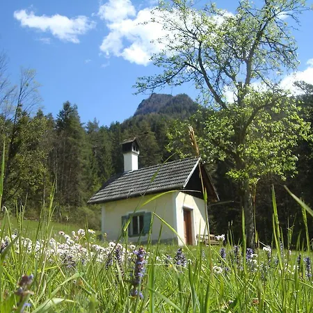 Waldbankerl