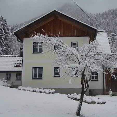 Ferienhaus Waldbankerl Bad Goisern am Hallstättersee